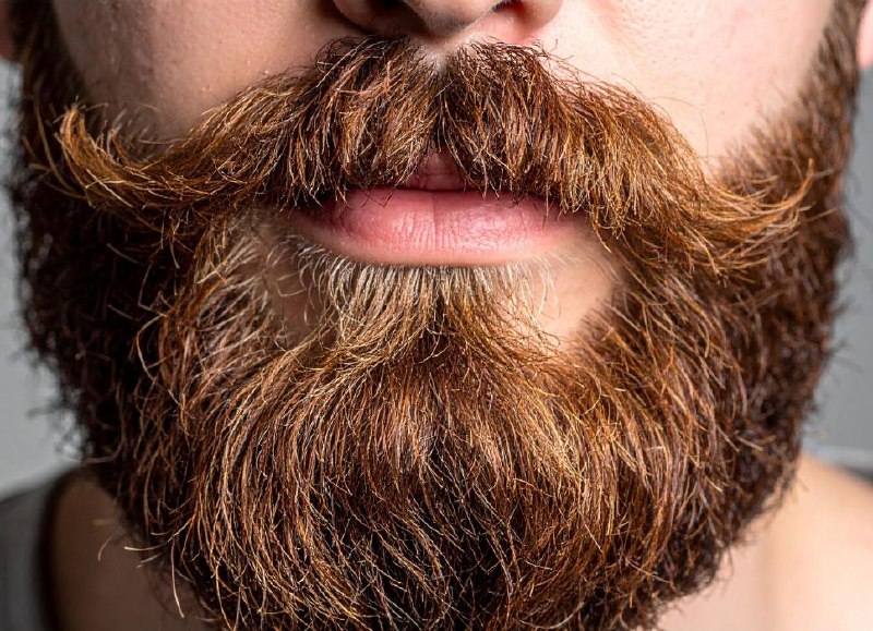 Carlos Moreno Portfolio 6